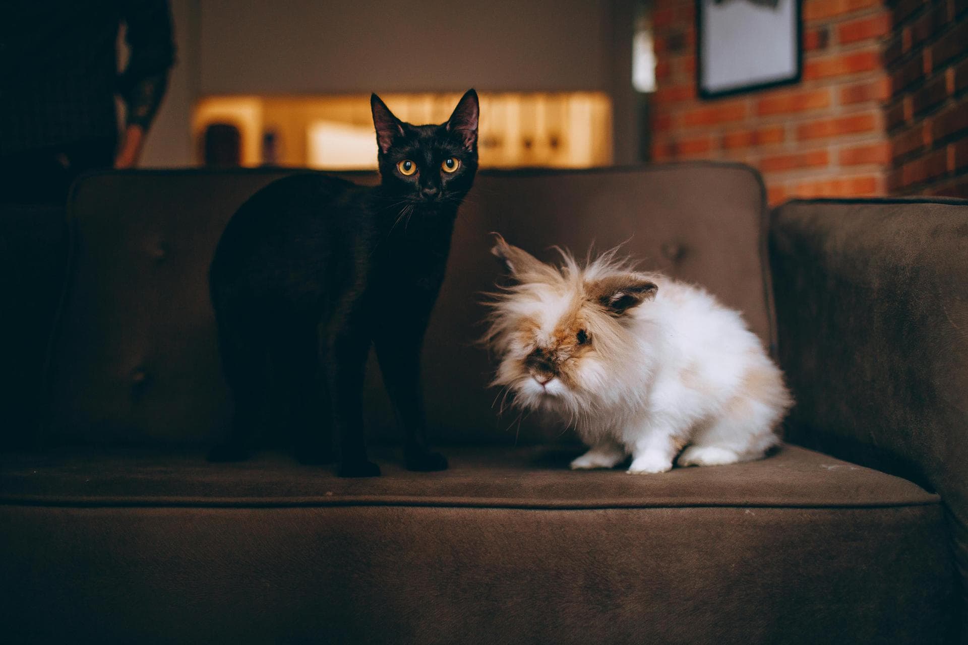 Best Vets in Salford